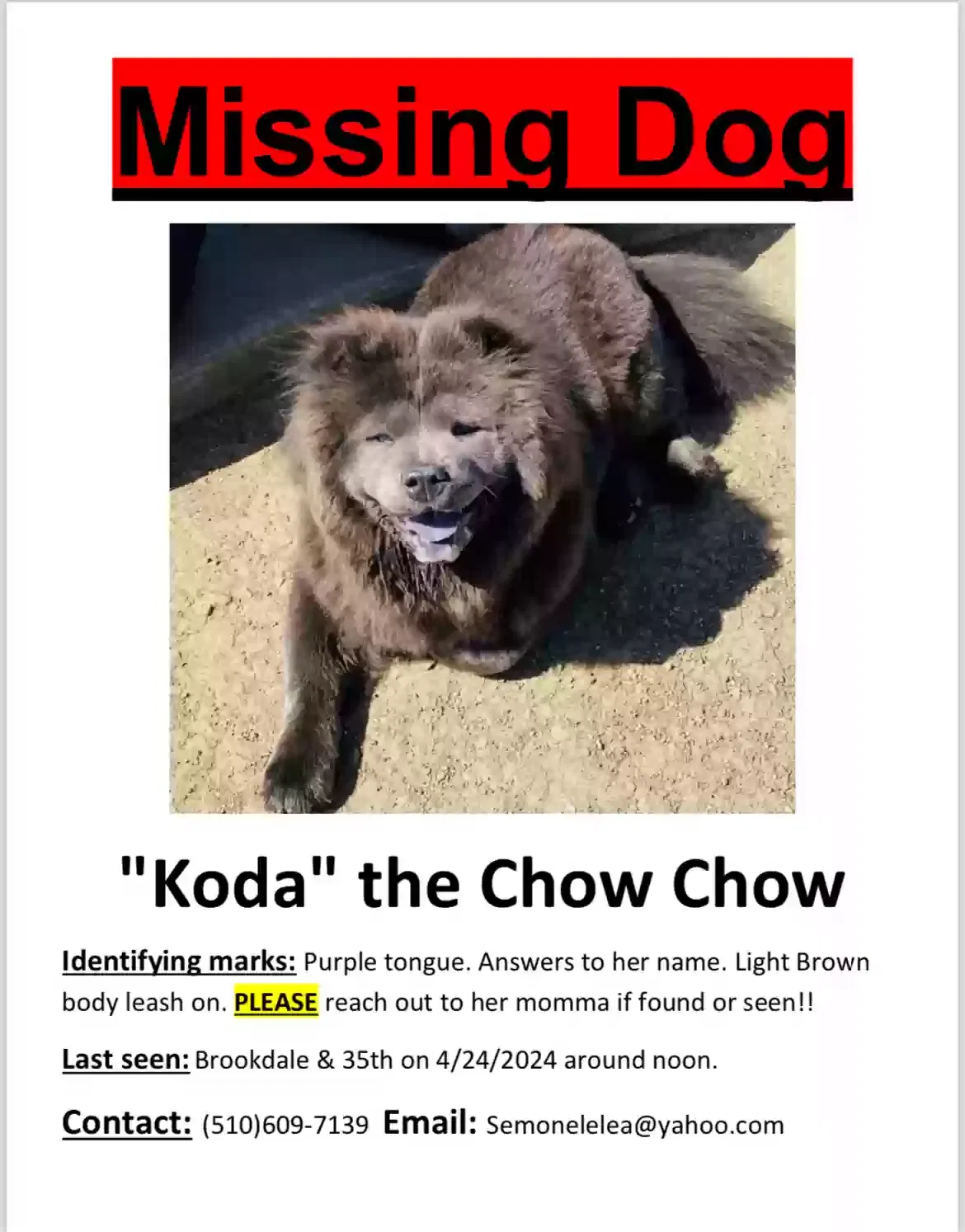 Lost dog in Oakland, CA, 94619