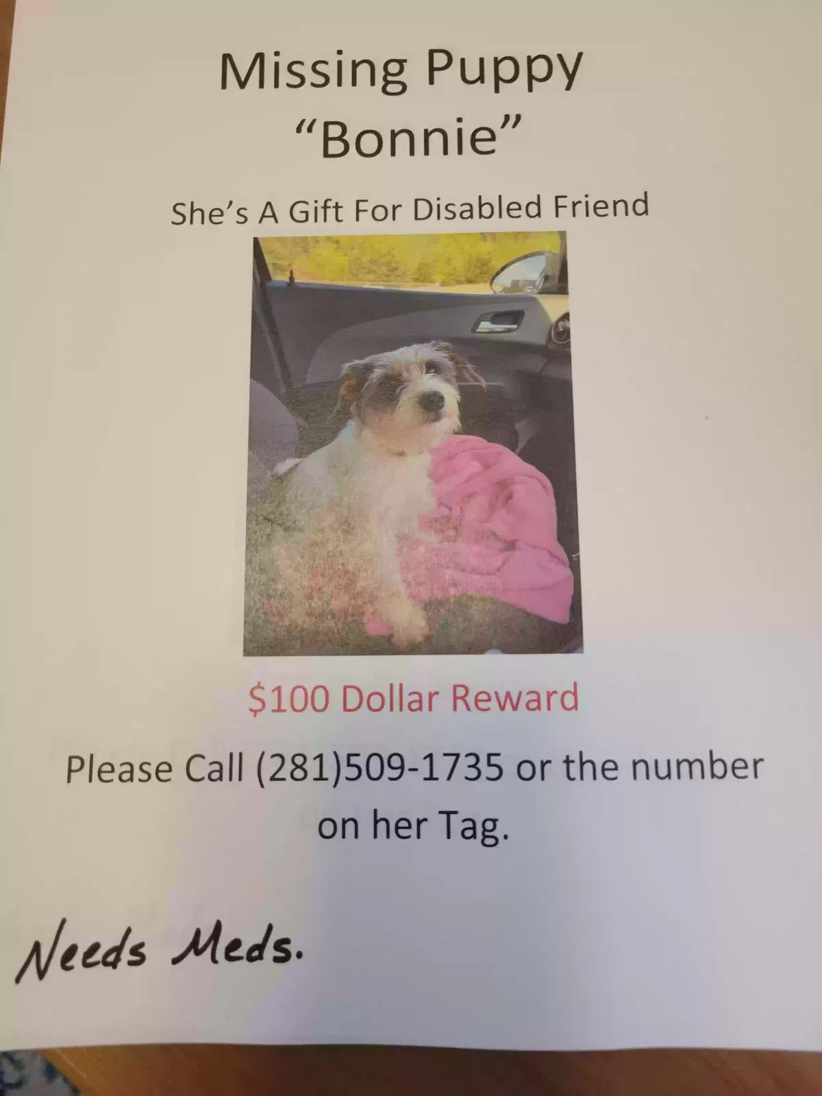Lost dog in Morristown, TN, 37814