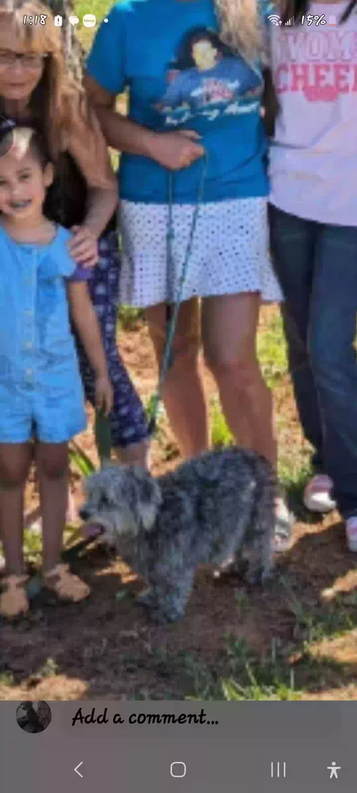 Lost dog in Oklahoma City, OK, 73106