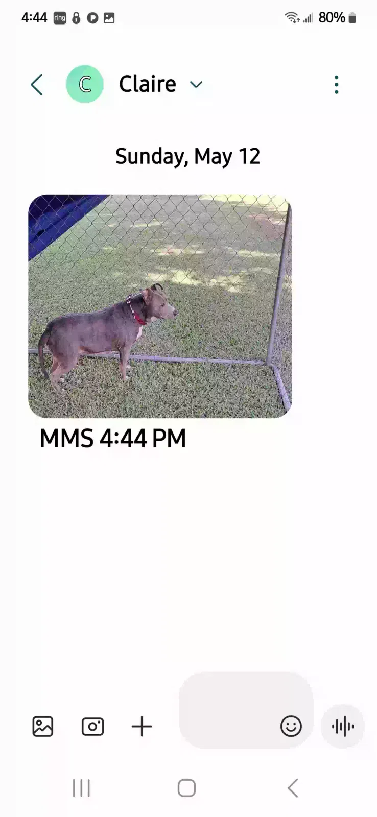 Found dog in Glen Saint Mary, FL, 32040