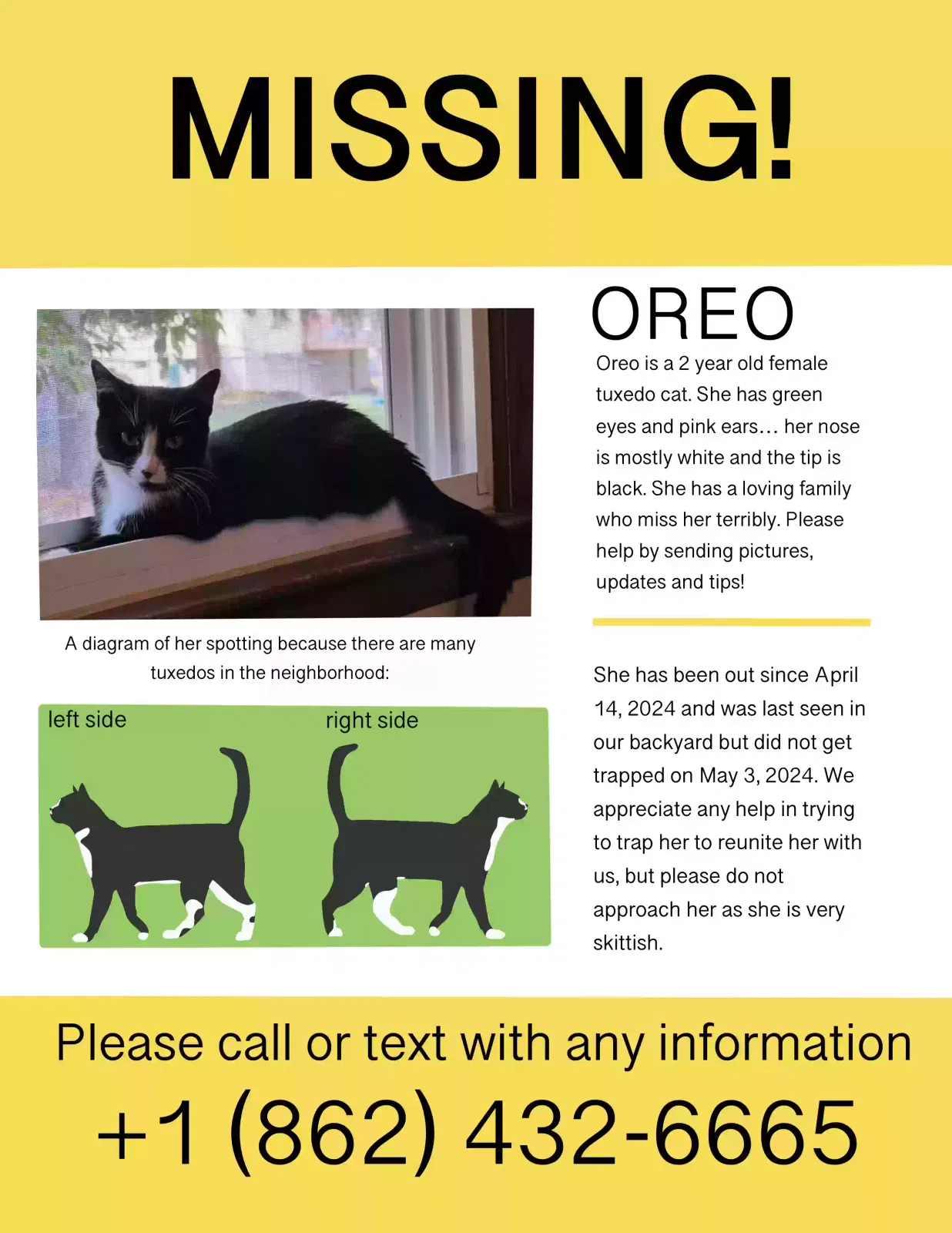 Lost cat in Hopatcong, NJ, 7843