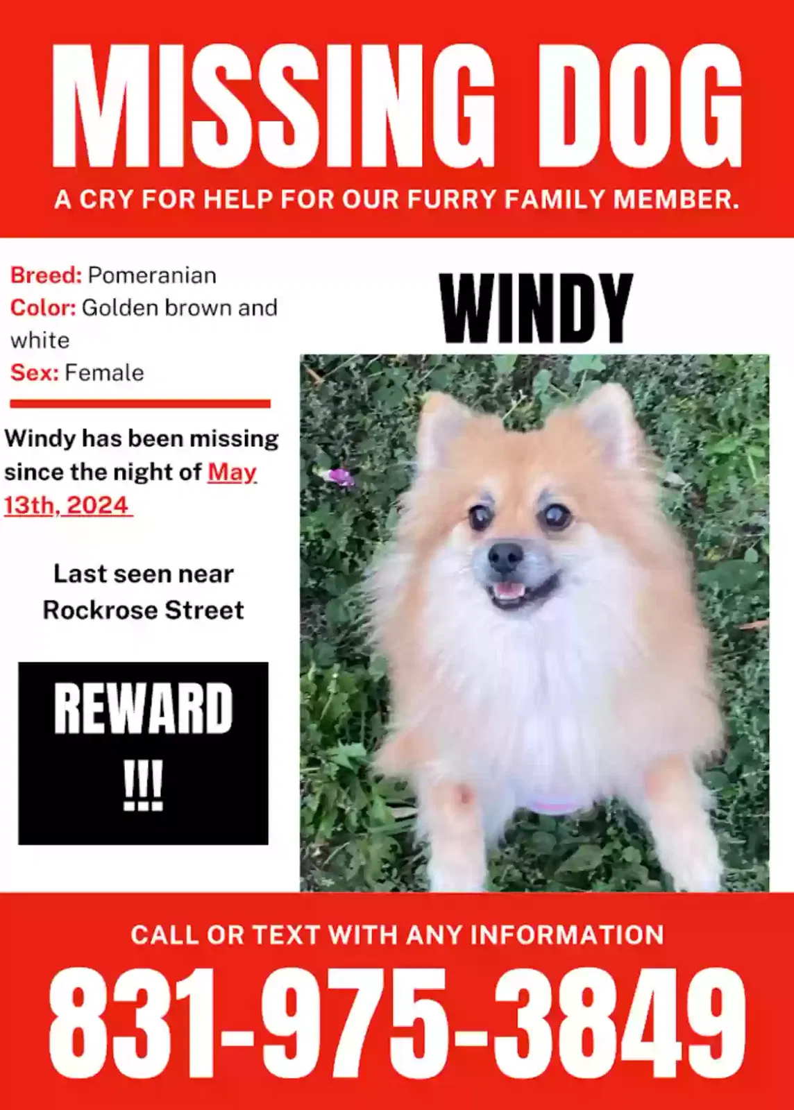 Lost dog in Soledad, CA, 93960