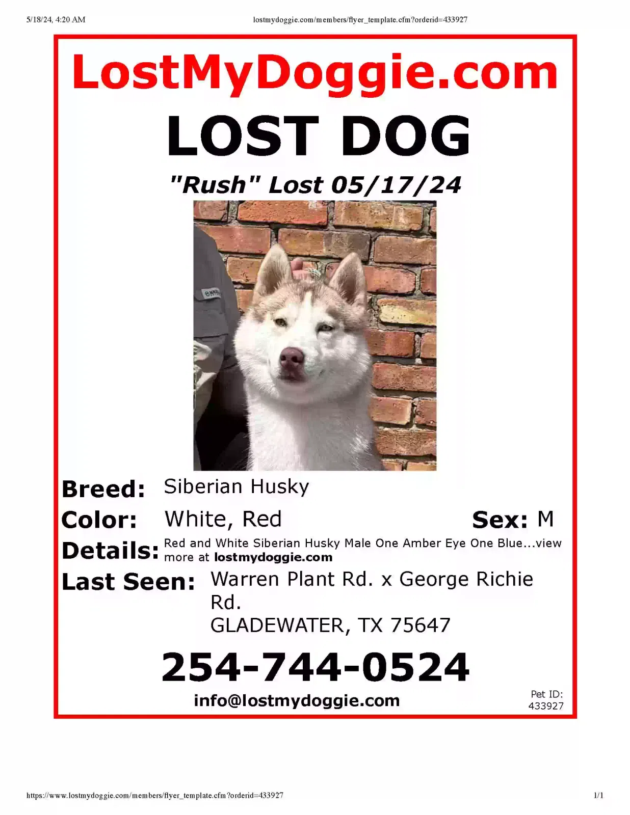 Lost dog in Gladewater, TX, 75647