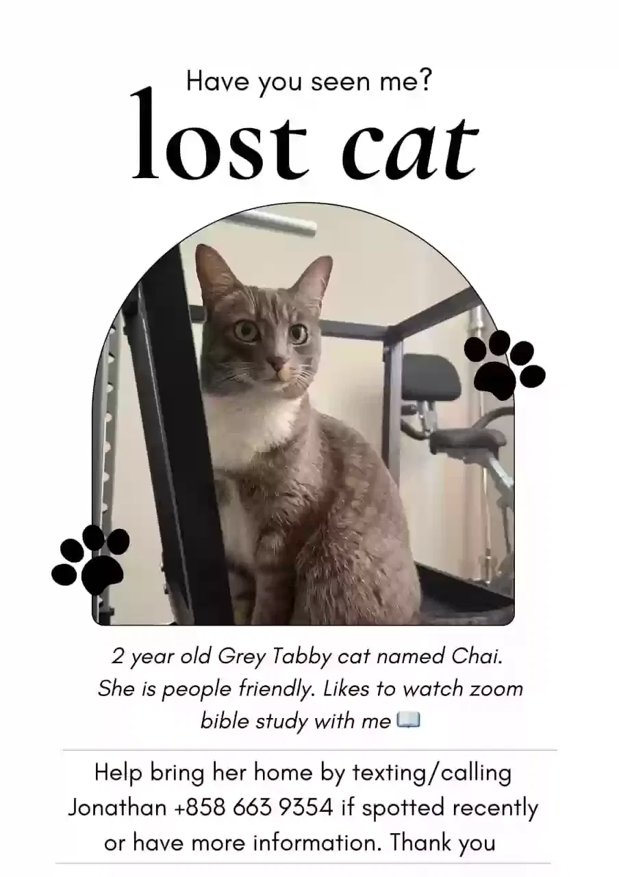 Lost cat in Pittsburg, CA, 94565