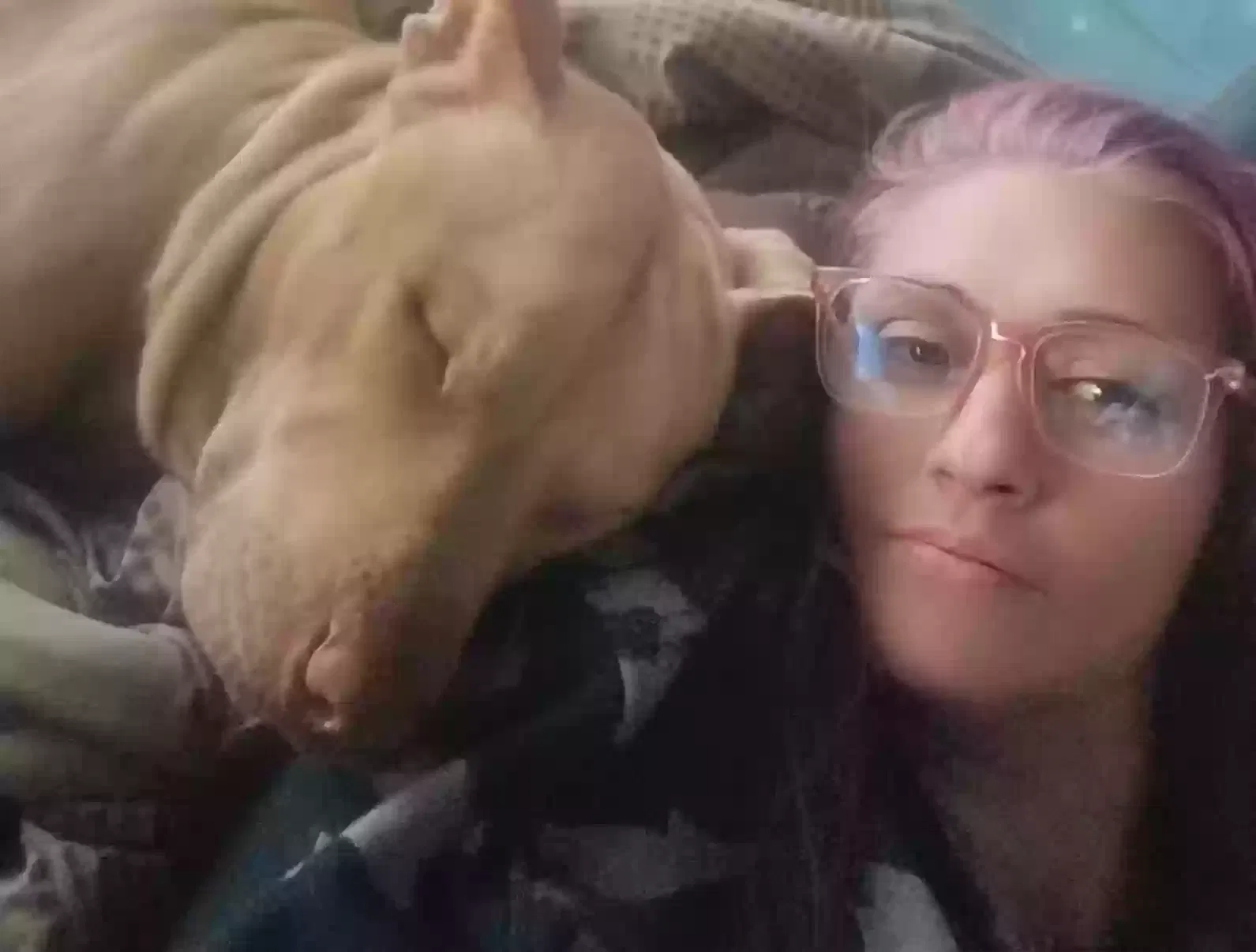 Lost dog in Pensacola, FL, 32505