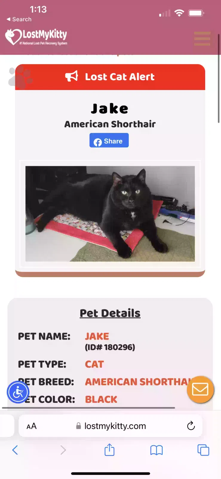 Lost cat in Dumfries, VA, 22025