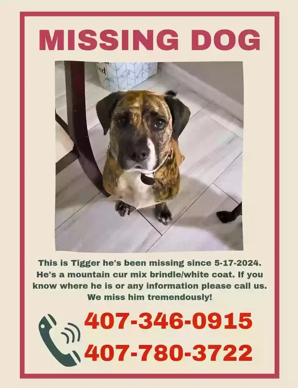 Lost dog in Dunnellon, FL, 34432