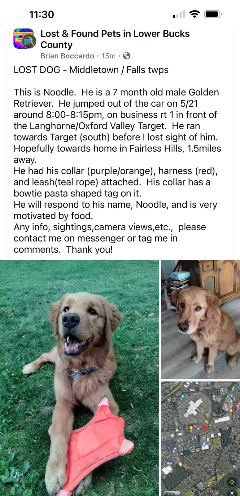 Lost dog in Langhorne, PA, 19047