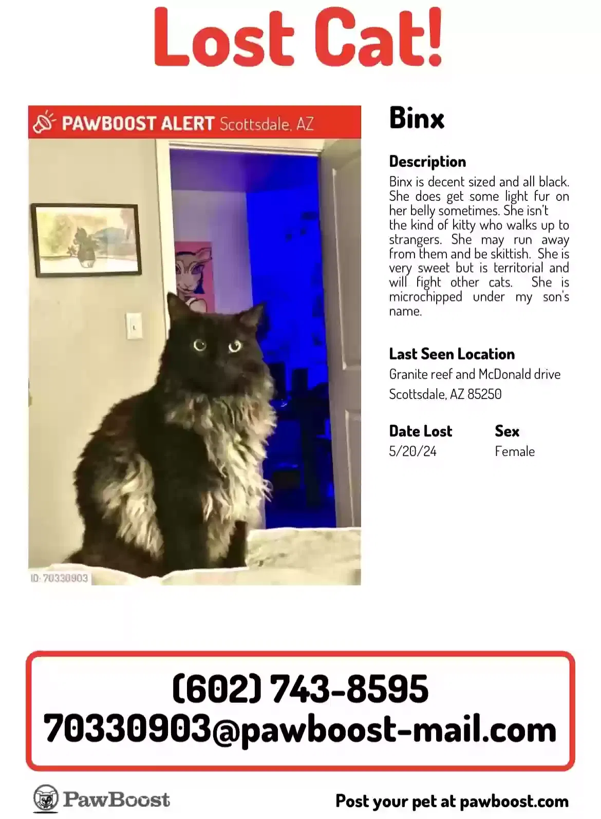 Lost cat in Scottsdale, AZ, 85250
