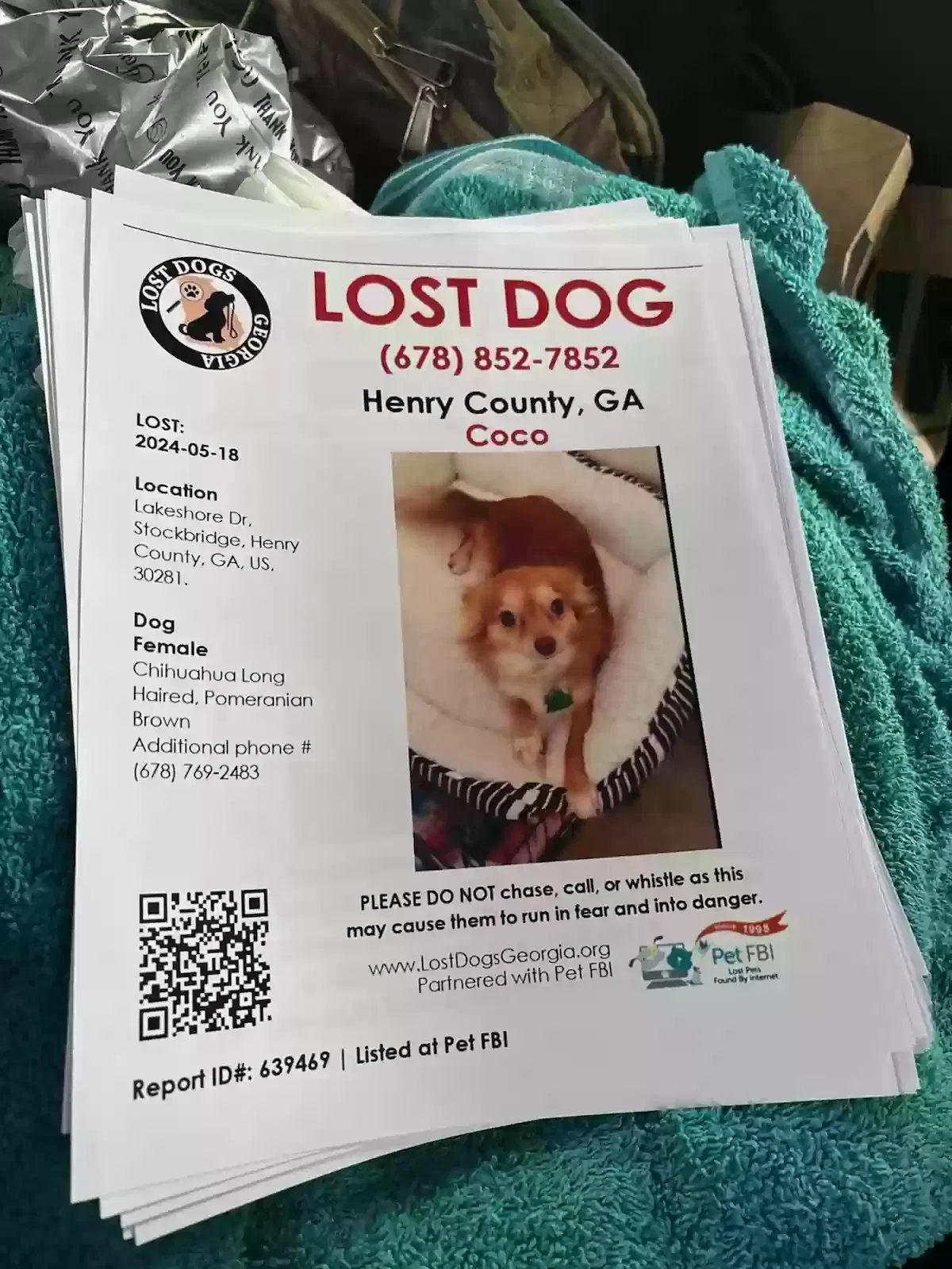 Lost dog in Stockbridge, GA, 30281