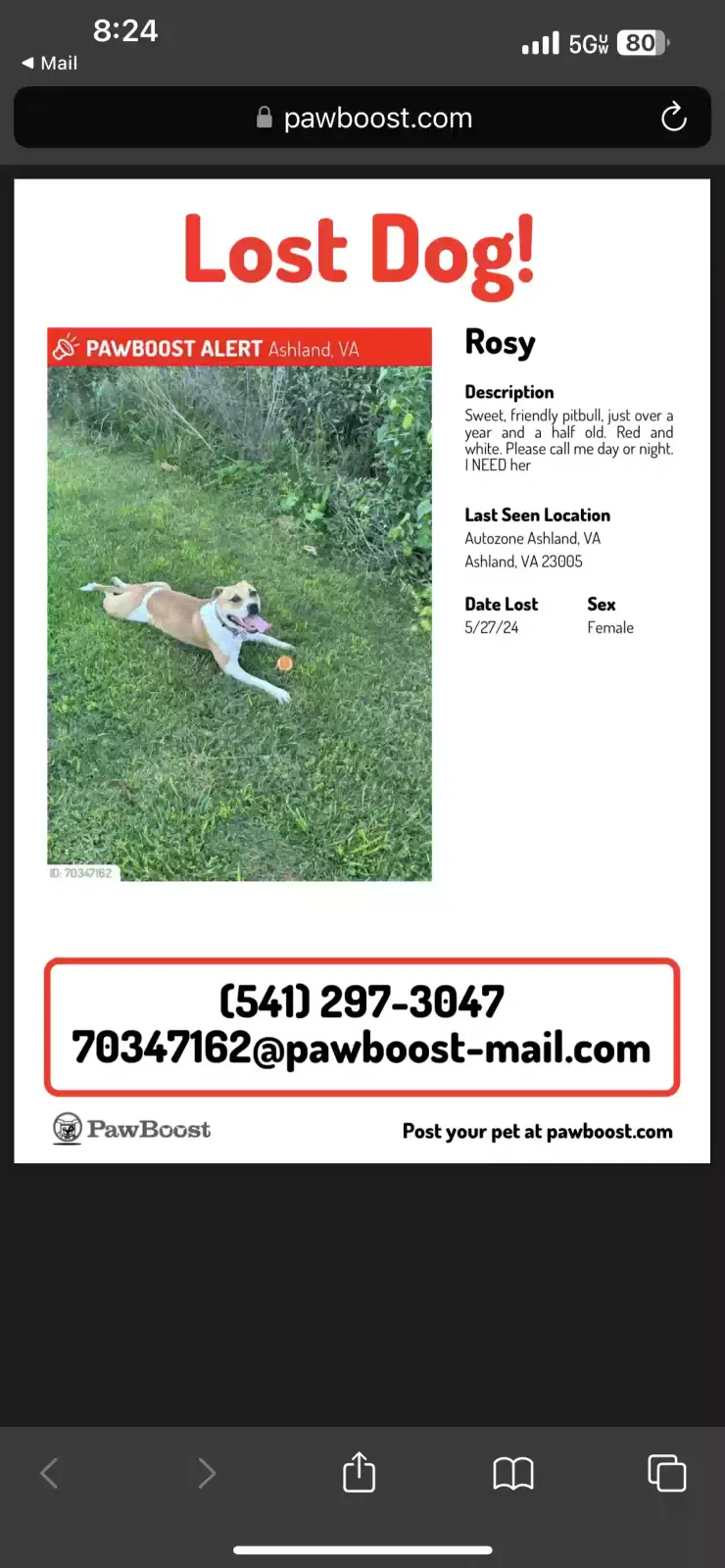 Lost dog in Ashland, VA, 23005