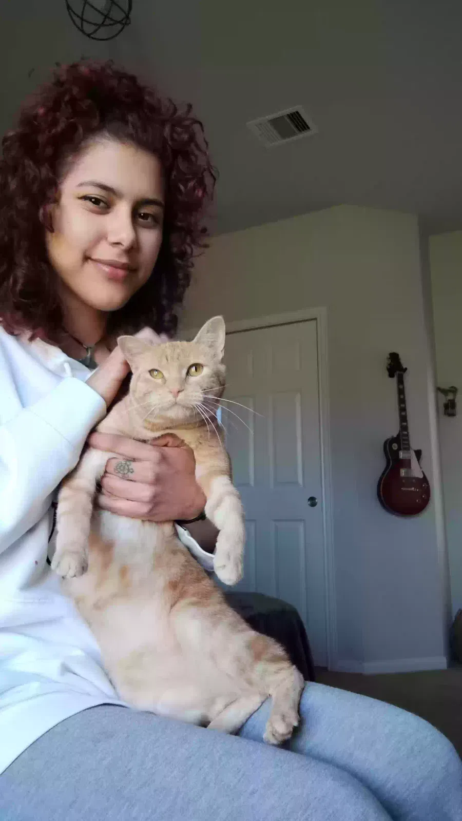 Lost cat in Houston, TX, 77090