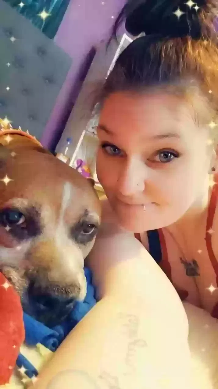 Lost dog in Indiana, PA, 15701