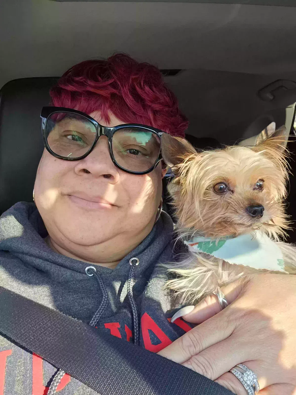 Lost dog in Knoxville, TN, 37919