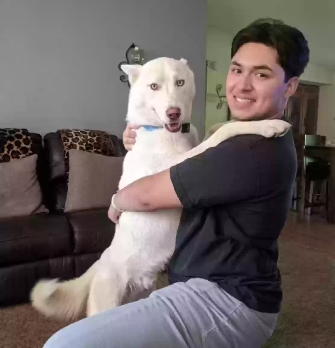 Lost dog in Yakima, WA, 98901