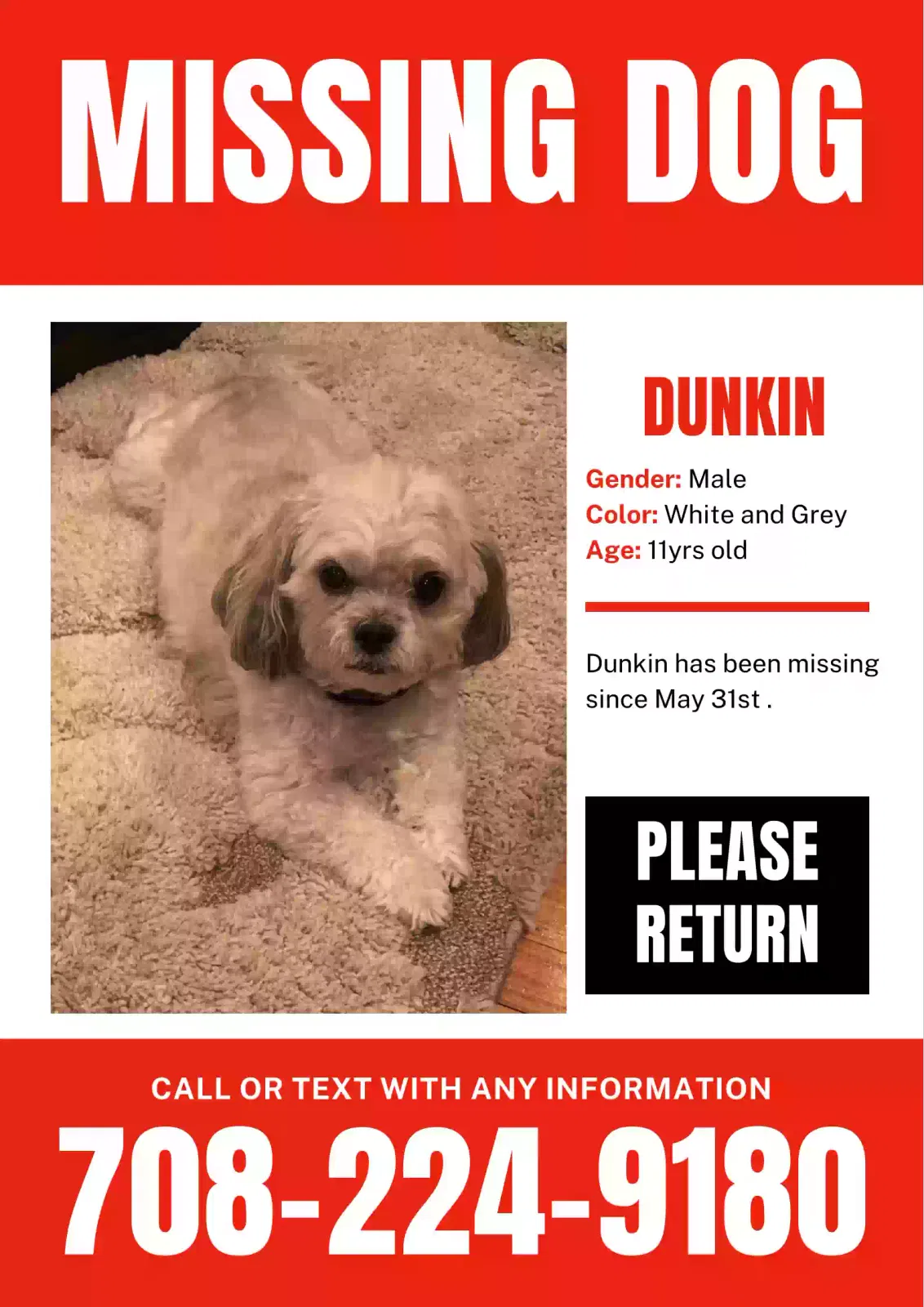 Lost dog in Calumet City, IL, 60409