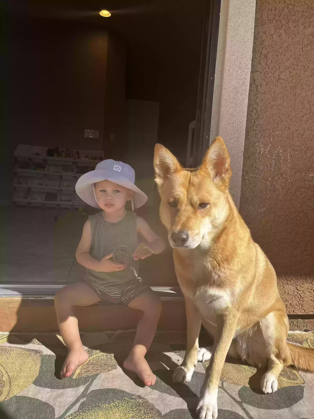 Lost dog in Las Vegas, NV, 89149