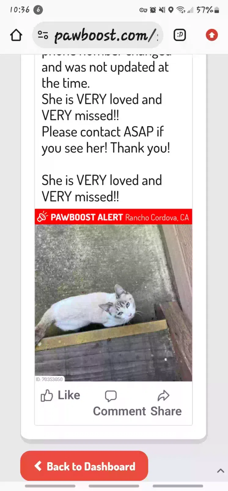 Lost cat in Rancho Cordova, CA, 95670