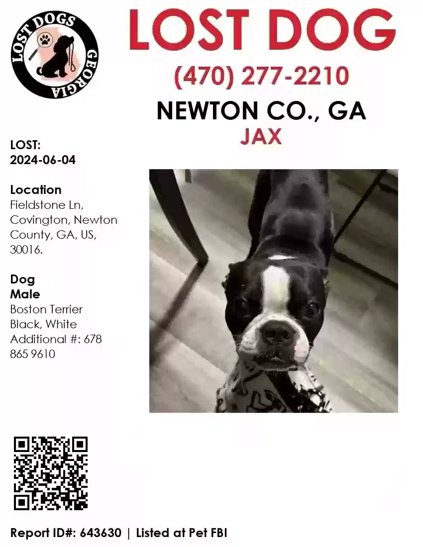 Lost dog in Covington, GA, 30016