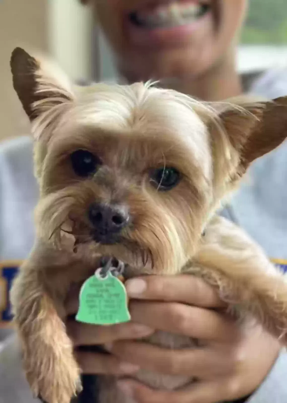 Lost dog in Winter Garden, FL, 34787