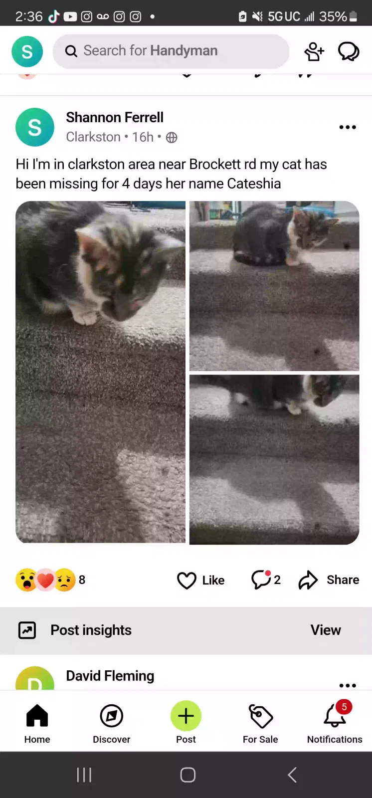 Lost cat in Clarkston, GA, 30021