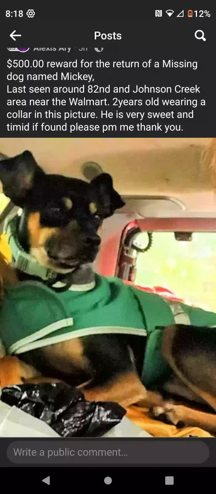 Lost dog in Happy Valley, OR, 97086
