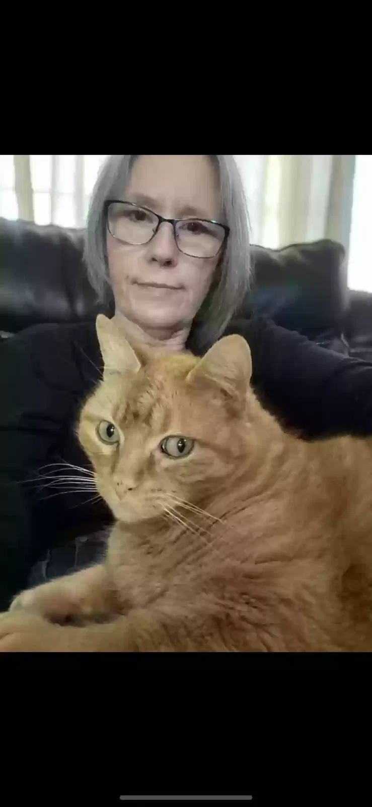 Lost cat in Camas, WA, 98607