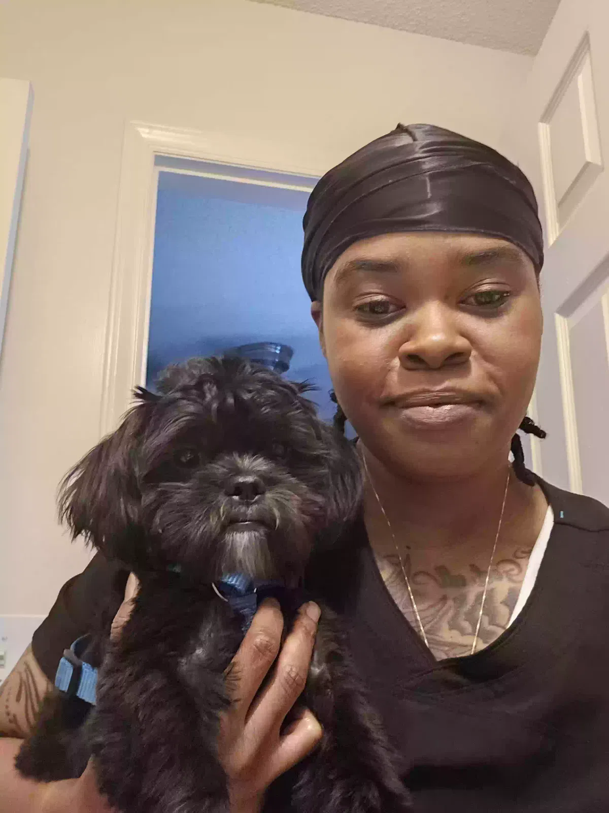 Lost dog in Greensboro, NC, 27407