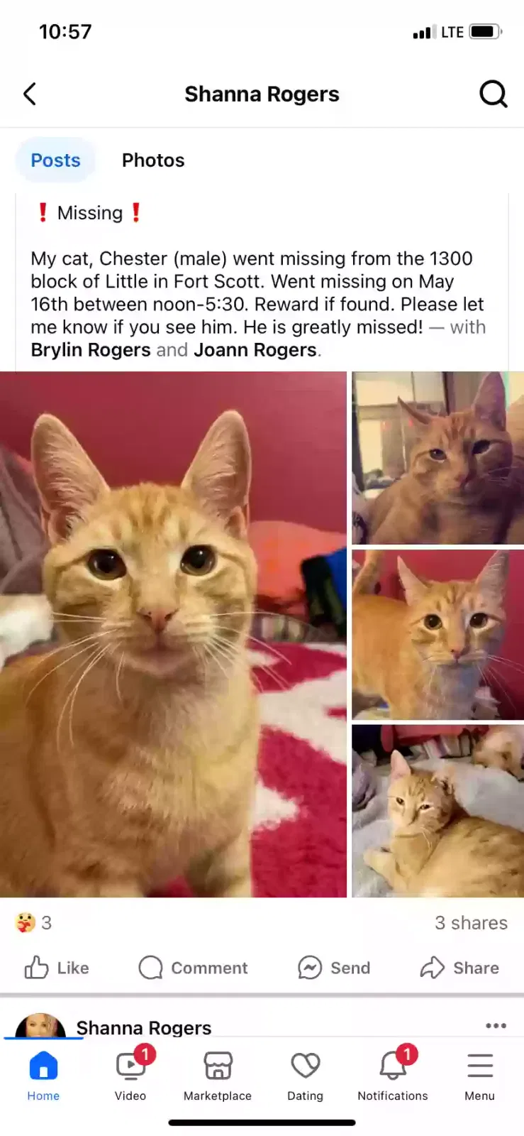 Lost cat in Fort Scott, KS, 66701