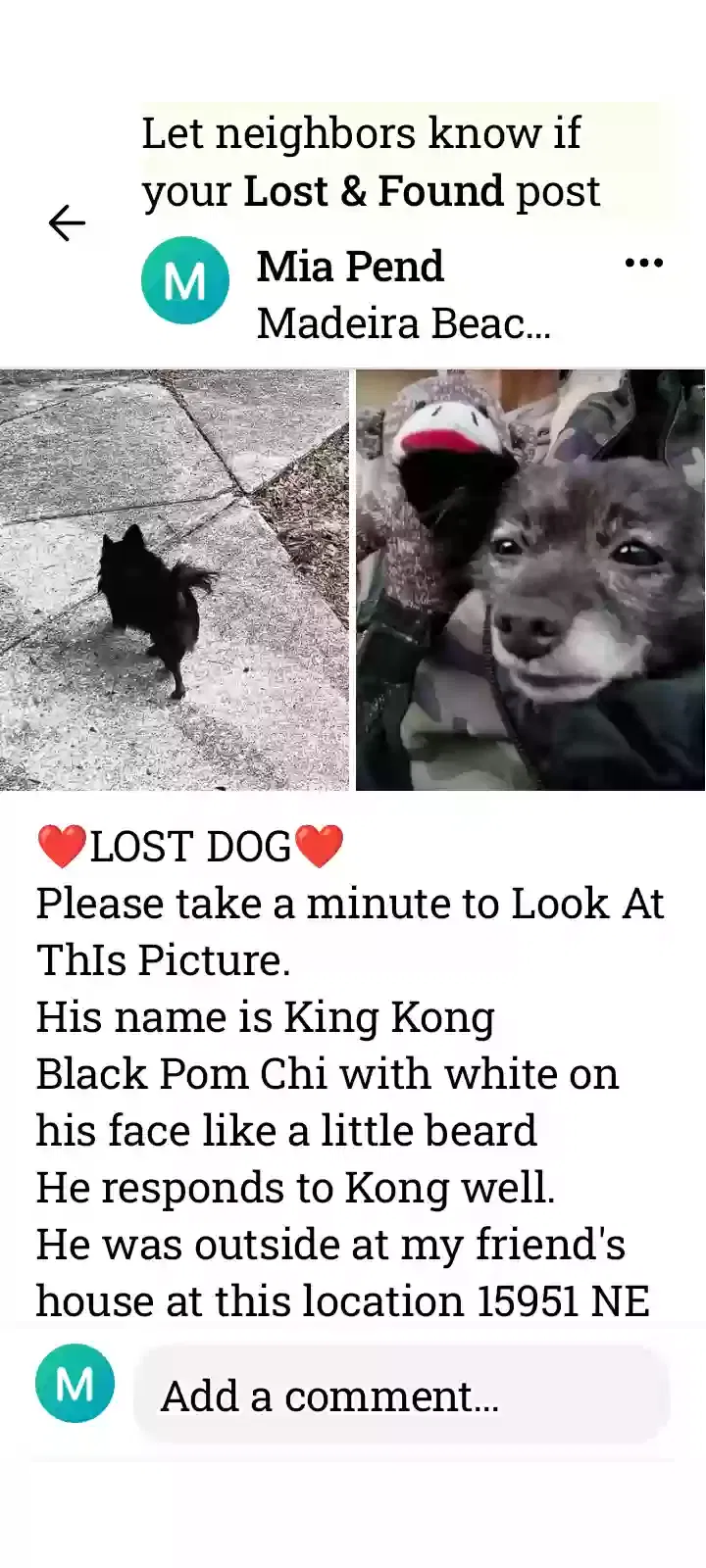 Lost dog in Williston, FL, 32696