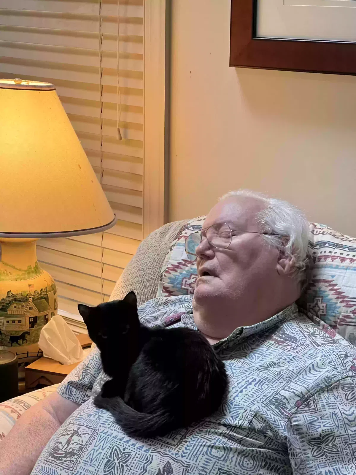 Lost cat in Millersville, MD, 21108
