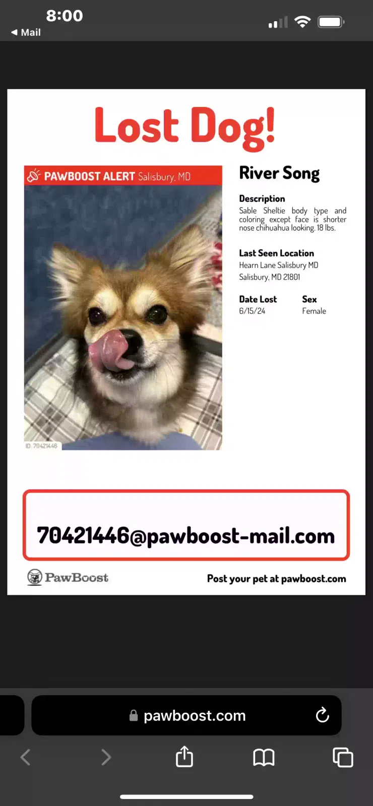 Lost dog in Salisbury, MD, 21801