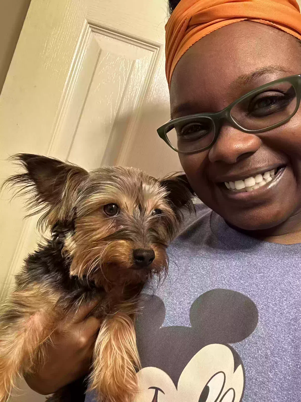 Lost dog in Richmond, VA, 23223