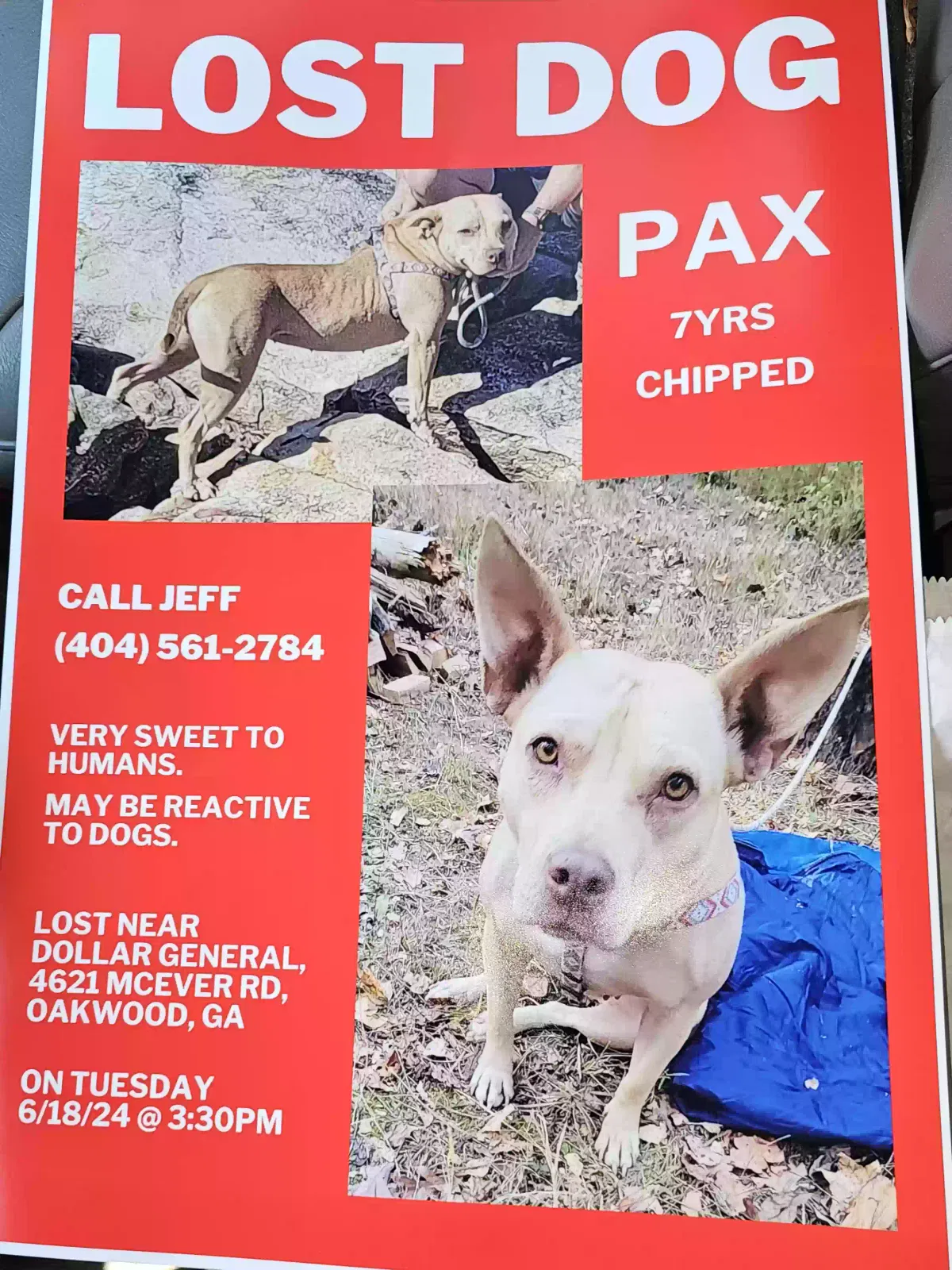 Lost dog in Oakwood, GA, 30566