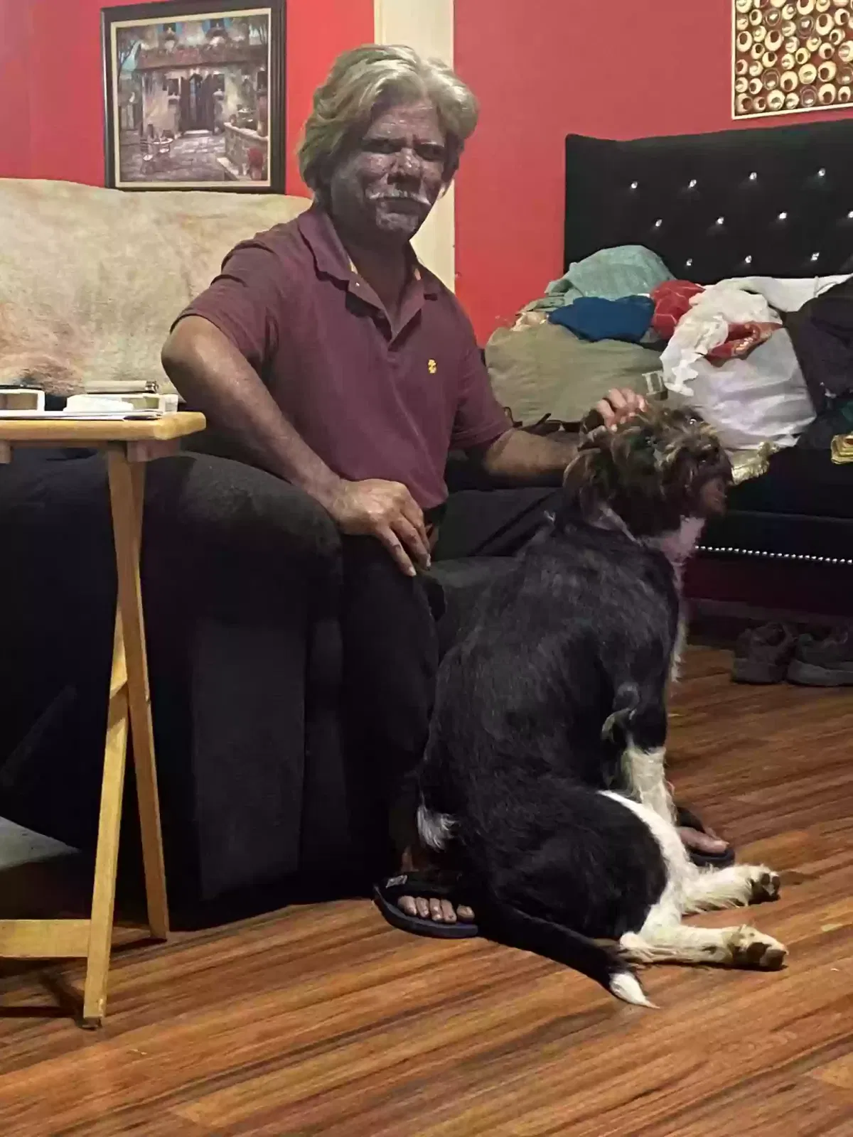 Lost dog in Houston, TX, 77083
