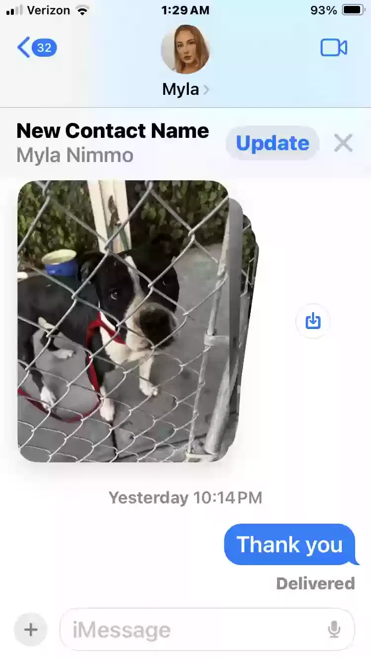 Found dog in San Jacinto, CA, 92583