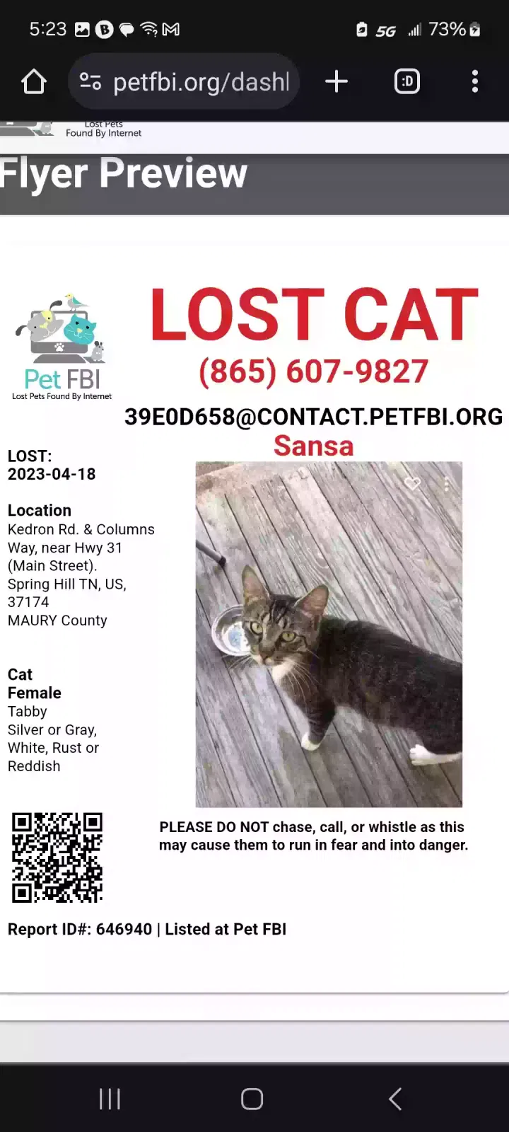 Lost cat in Spring Hill, TN, 37174