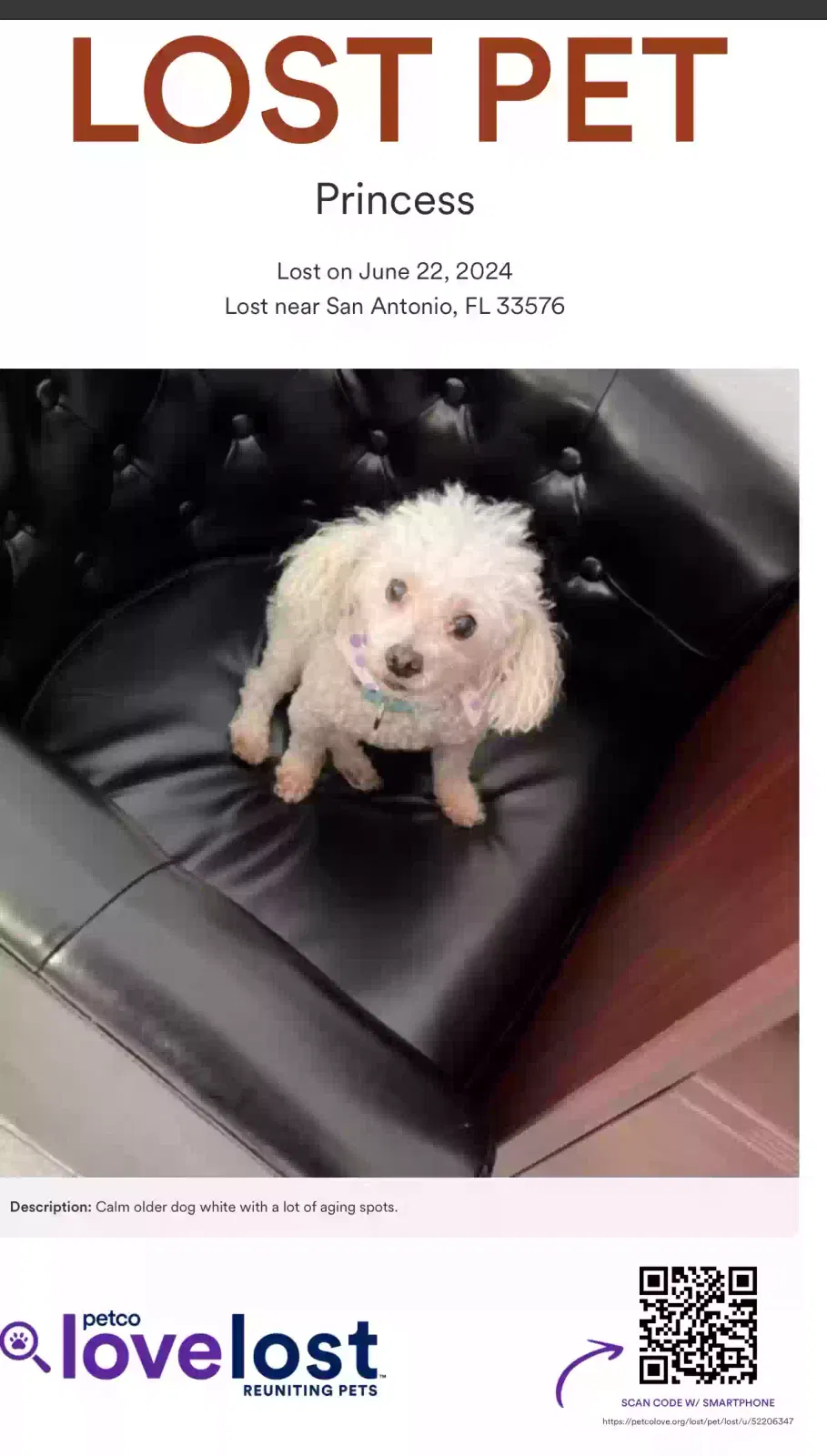 Lost dog in San Antonio, FL, 33576