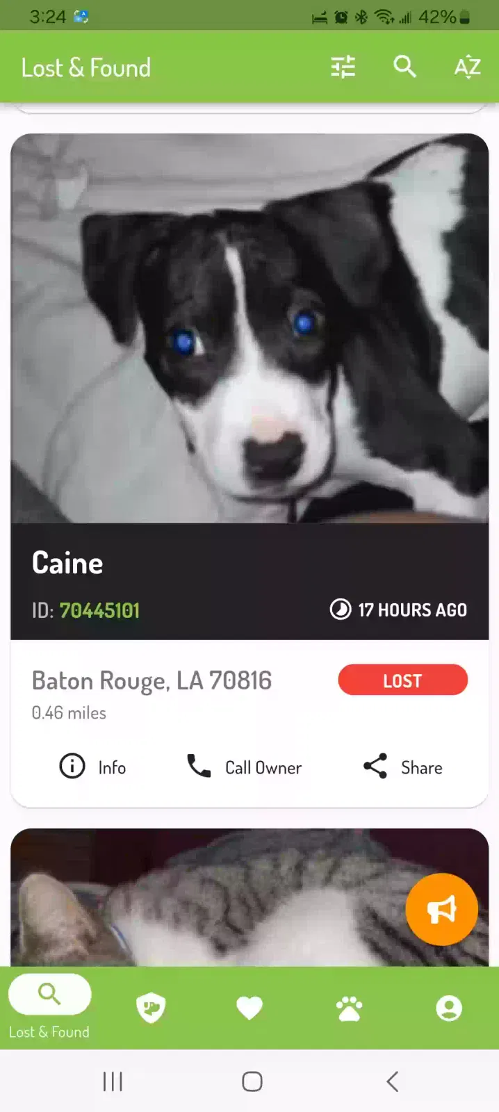 Lost dog in Baton Rouge, LA, 70816