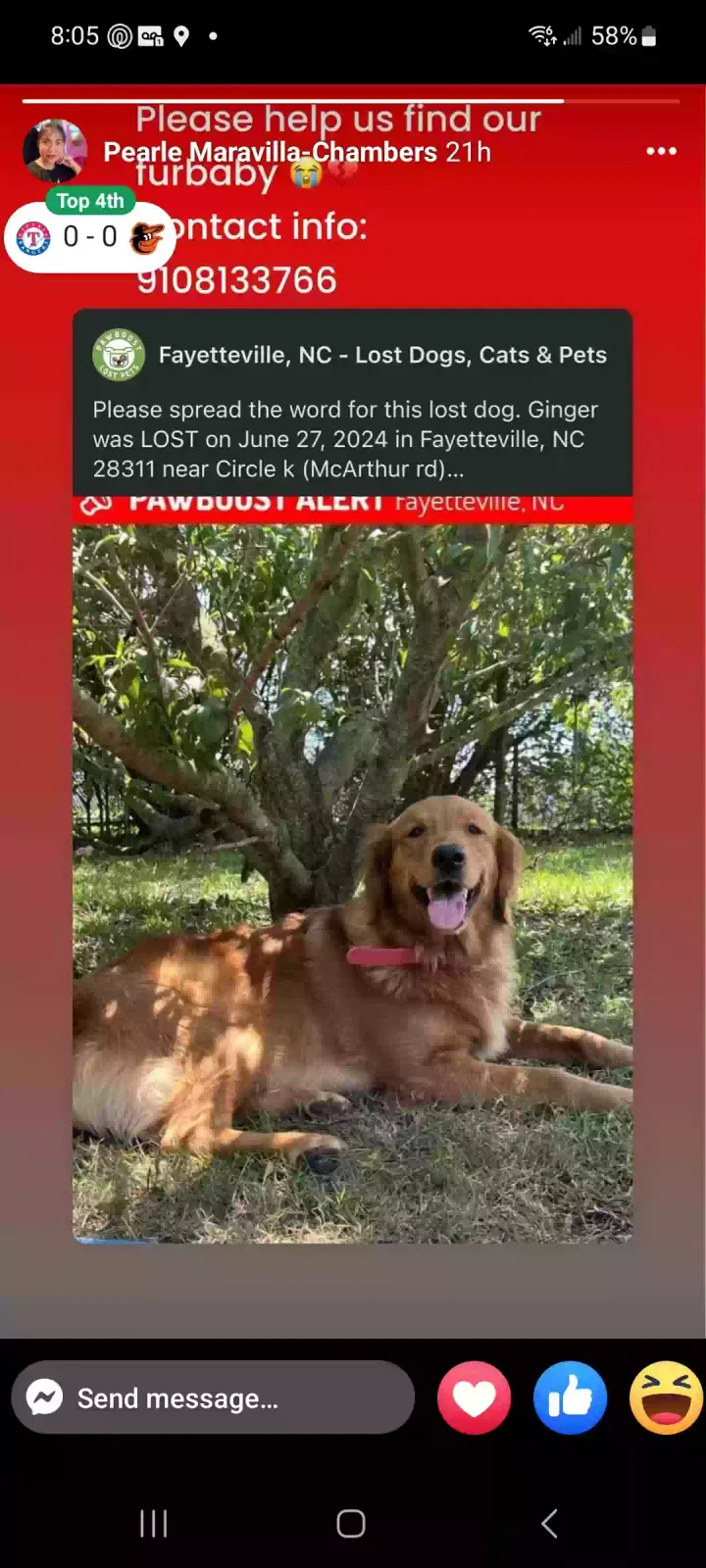 Lost dog in Fayetteville, NC, 28303