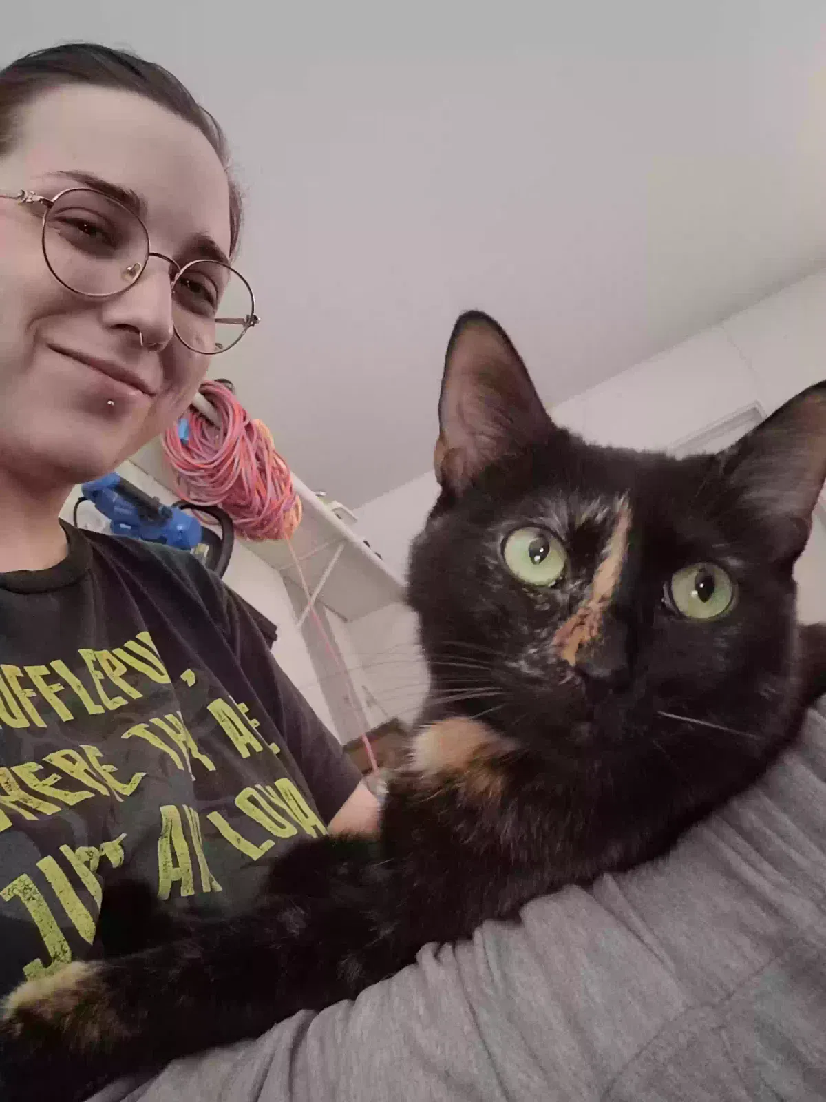 Lost cat in Fort Worth, TX, 76137