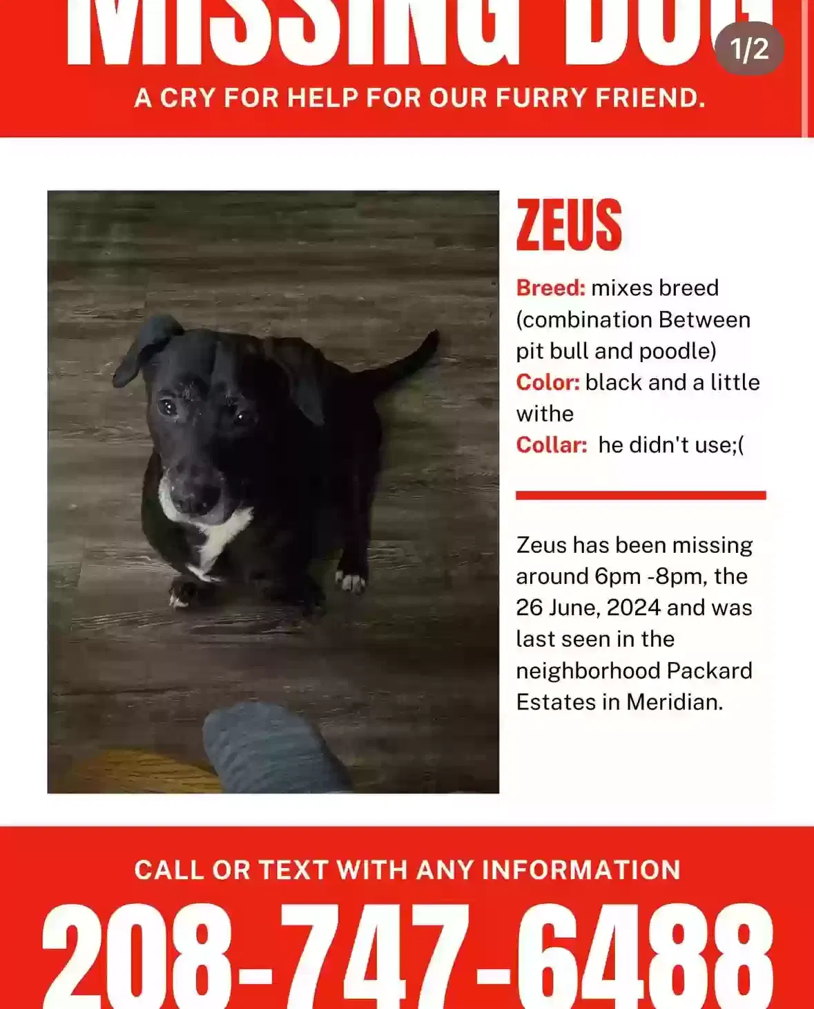 Lost dog in Meridian, ID, 83646