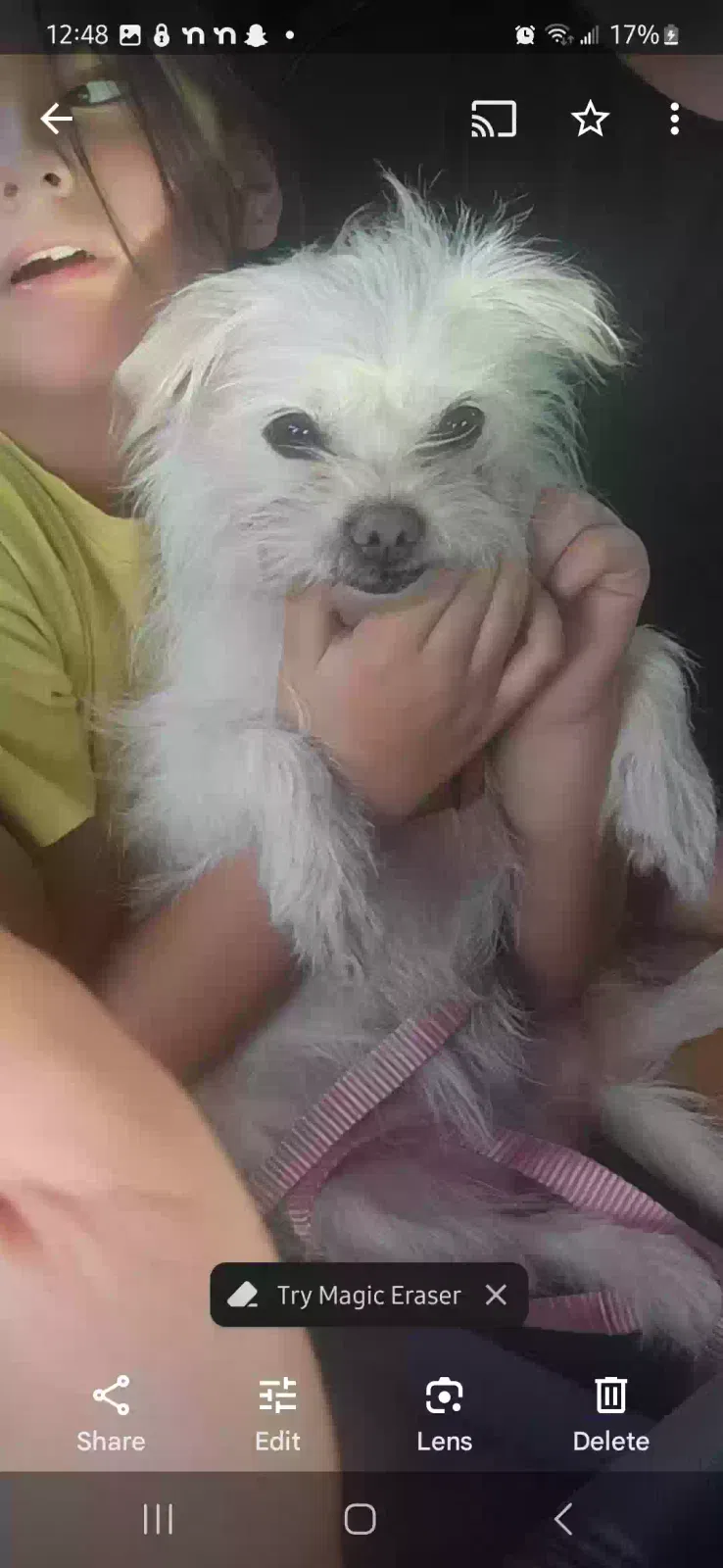 Lost dog in Fresno, CA, 93722
