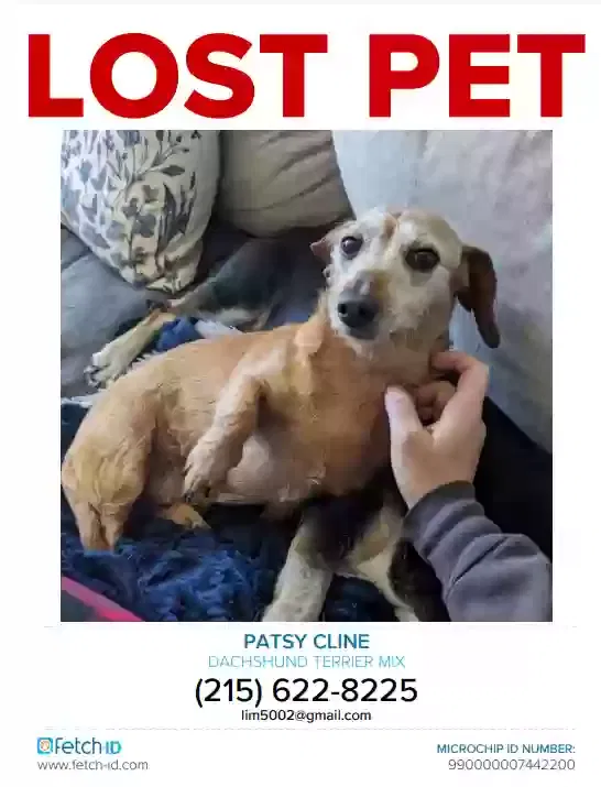 Lost dog in Hermitage, TN, 37076