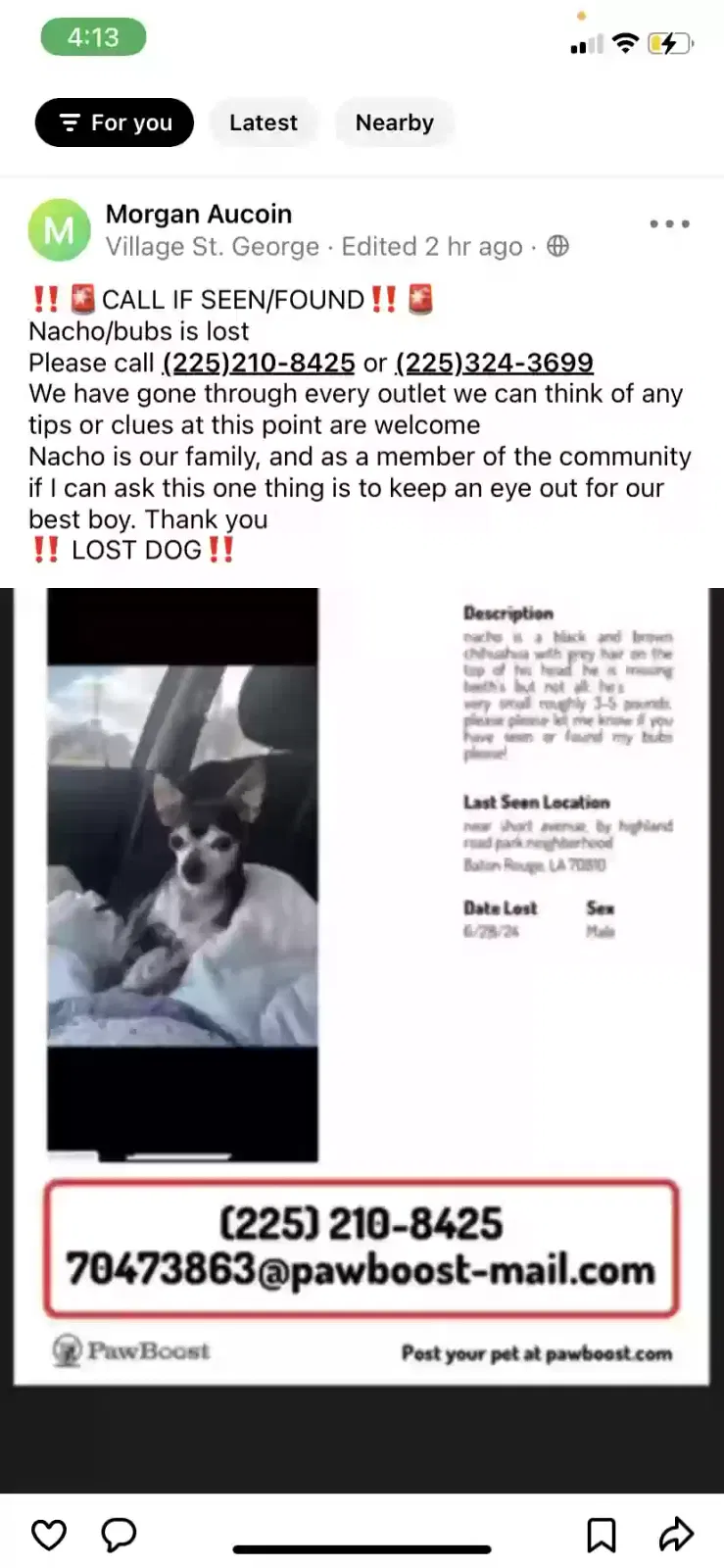 Lost dog in Baton Rouge, LA, 70810