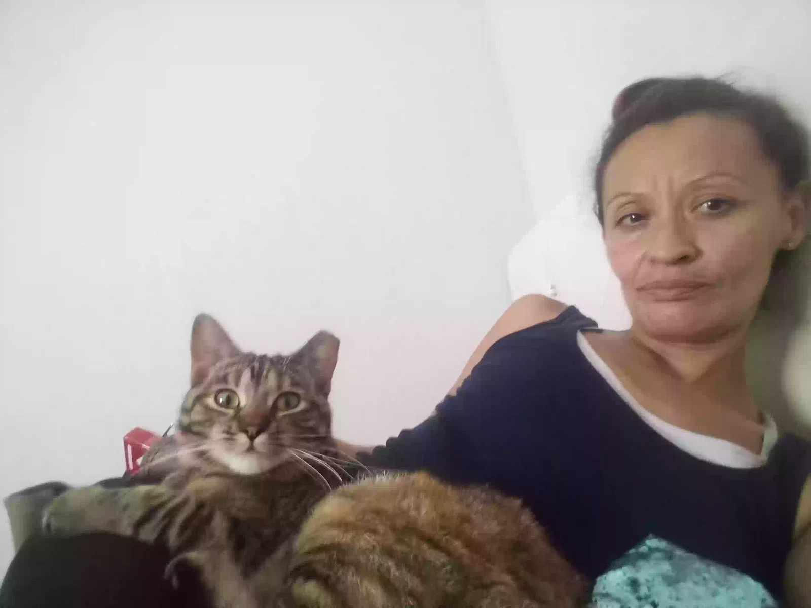 Lost cat in Firebaugh, CA, 93622