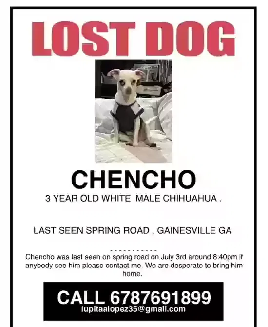 Lost dog in Gainesville, GA, 30504