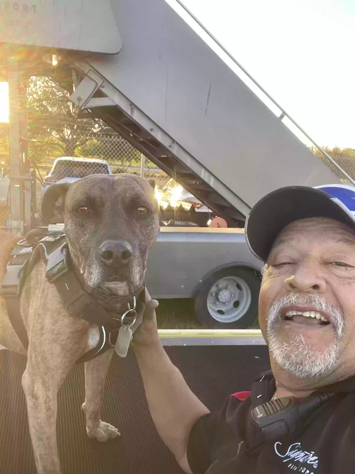 Lost dog in Manor, TX, 78653