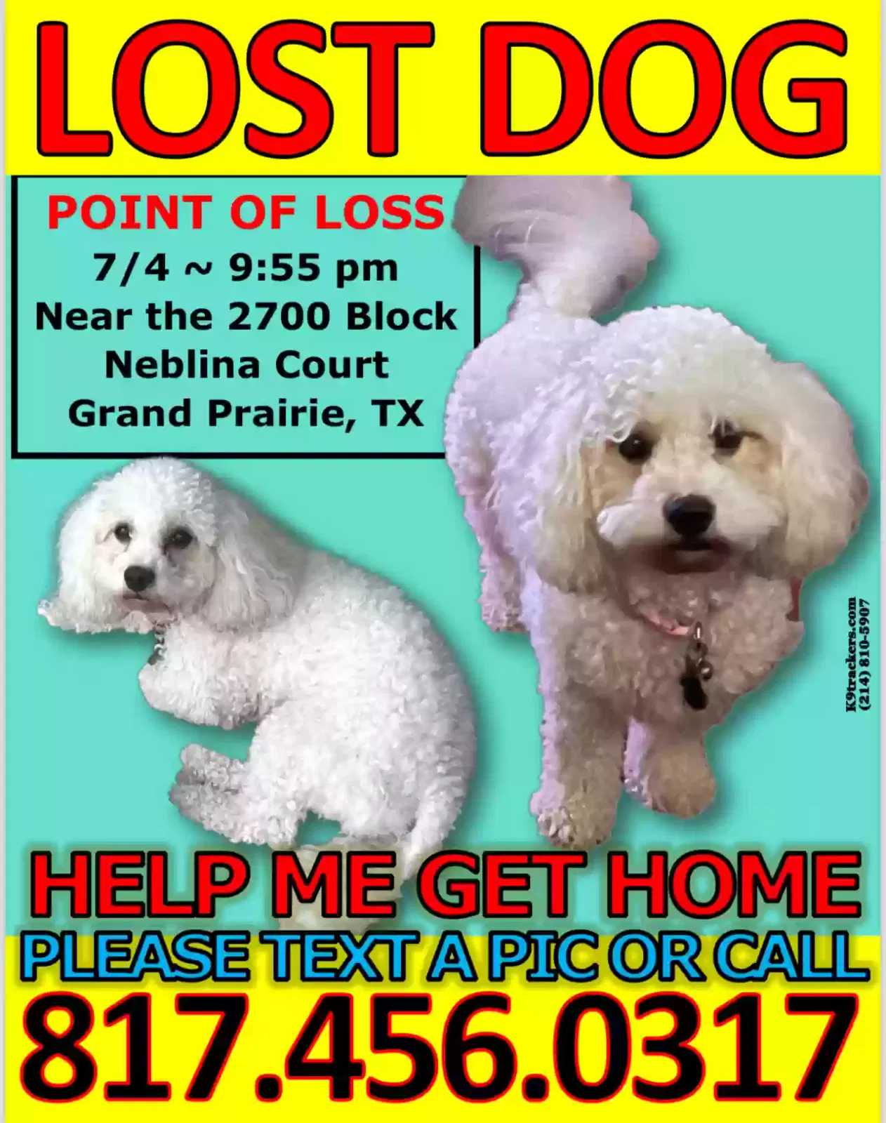 Lost dog in Grand Prairie, TX, 75054
