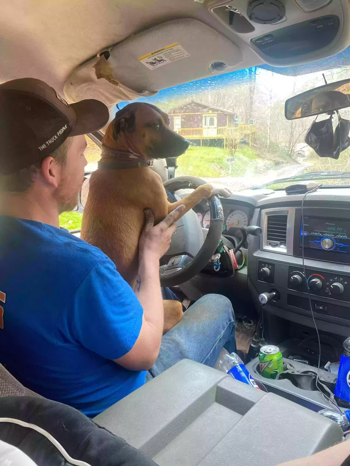 Lost dog in Matewan, WV, 25678